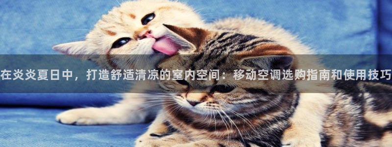 环球360买分一比一