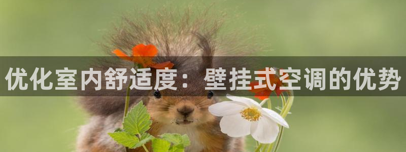 环球360手机版app