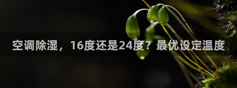 环球360是真的吗知乎