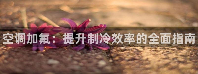 环球360会员登录不上去