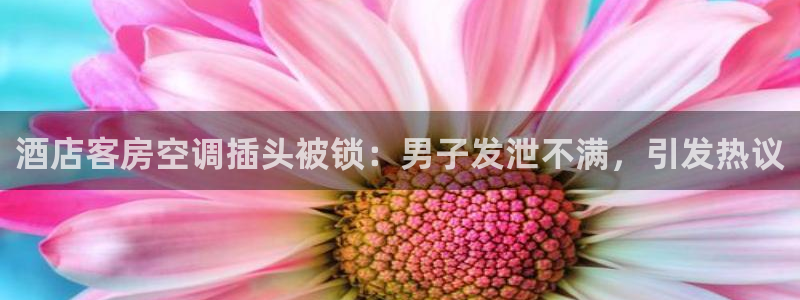 环球360官网会员有什么用