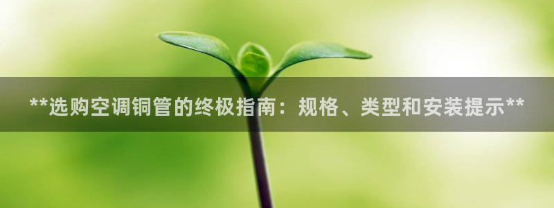 环球360注册账号