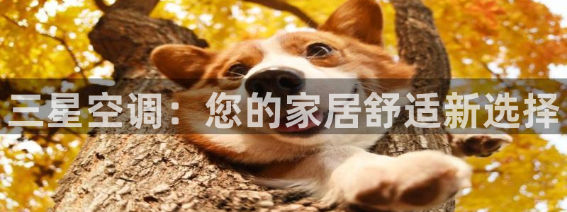 环球360注册账号怎么注销