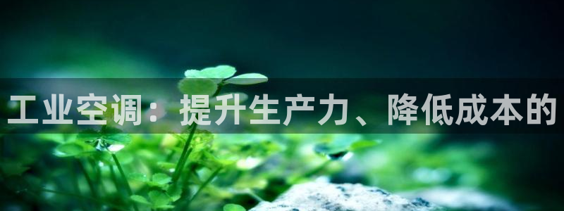 环球360官网手机版下载地址