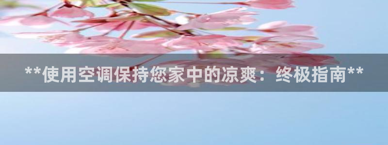 360环球国际官网首页