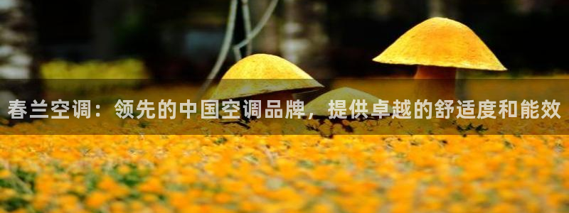 环球360亚洲商务