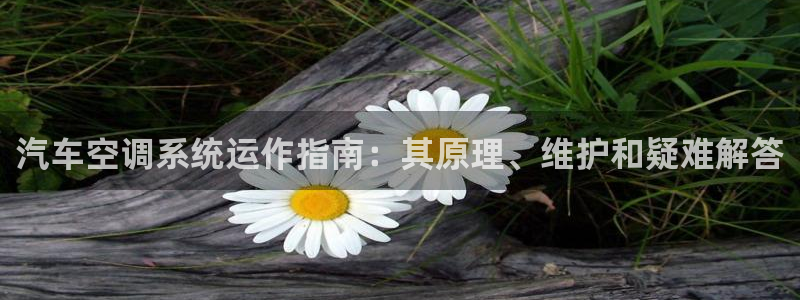 360环球国际官网首页