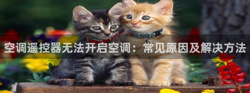 360环球网