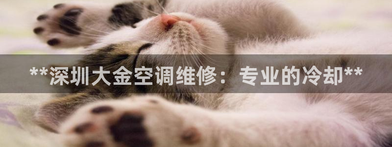 环球360是干嘛的