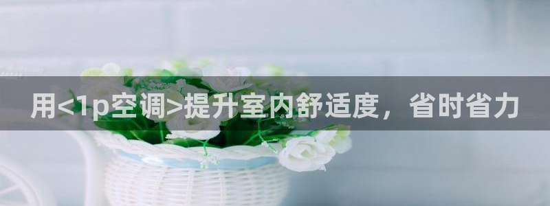 环球360真假菲利宾