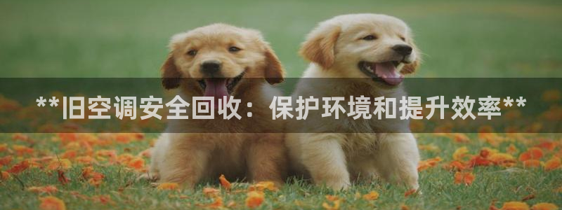 环球360官网手机版下载地址查询