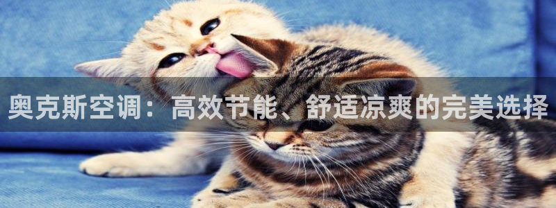 电脑环球360登录网址
