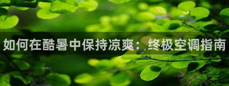 环球360案例
