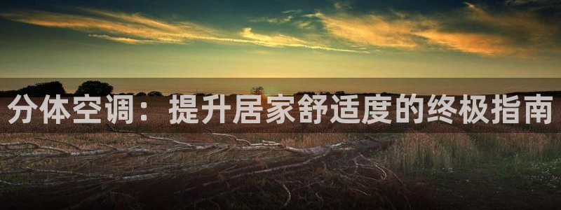 环球360飞机视频在线观看