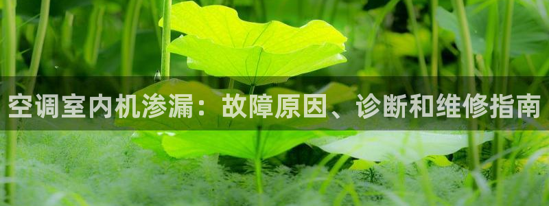 环球360秒上秒下秒