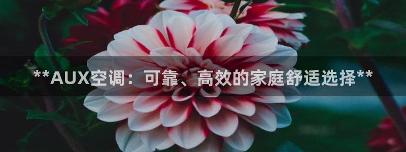 环球360官网会员注册流程视频